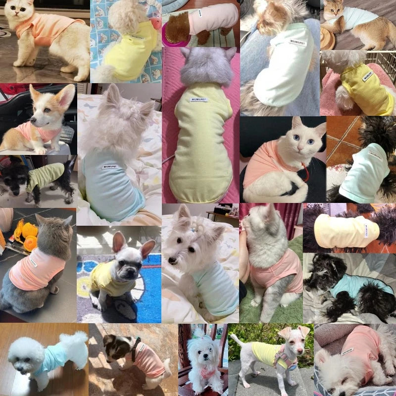 Solid Dog Clothes Summer Cotton Dog Vest Chihuahua Bichon Frise Yorkie Thin Puppy Breathable Dog Clothing Pet Vest Dog Costumes